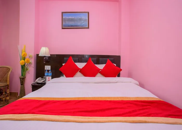 Oyo 222 New Himalayan Hotel